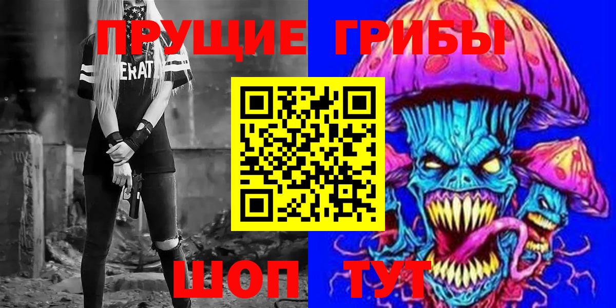 Псилоцибиновые грибы Psilocybine cubensis Черногорск