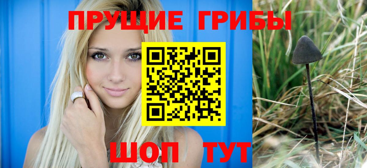Галлюциногенные грибы Psilocybe  Вход с VPN  Черногорск 