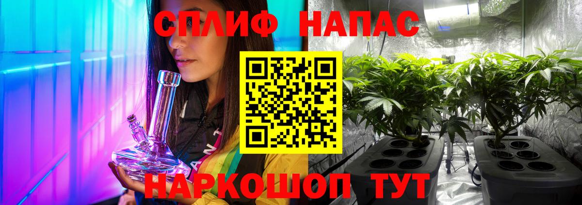 Конопля семена  Бошки марихуана тримм  Бошки марихуана план  Вход с VPN  Черногорск 